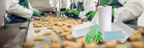 Food Processing